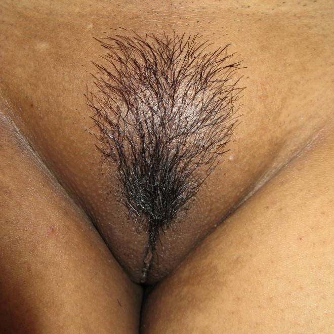 Beautiful trimmed pussy