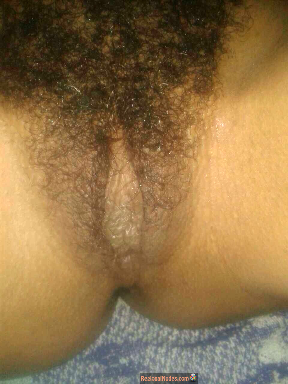 Hairy haitian